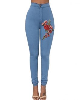 Embroidered Skinny Fit Jeans