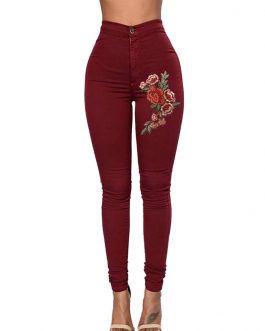 Embroidered Skinny Fit Jeans