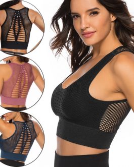 Seamless High Impact Sports Bra