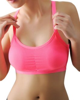 Women Sports Bra With Push Up