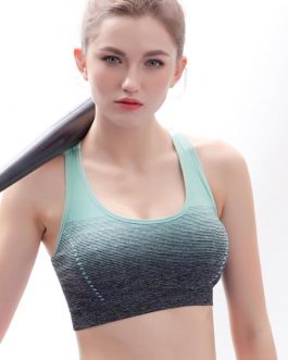 Gradient High Stretch Sports Bras